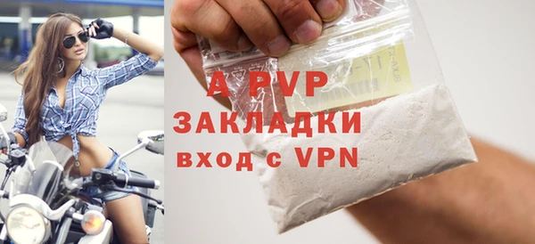 индика Сосновый Бор