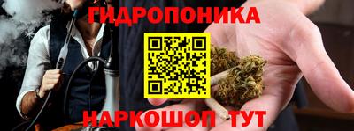 сатива Балахна