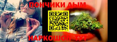 индика Заводоуковск