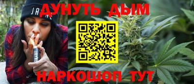 индика Заводоуковск