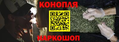 индика Заводоуковск