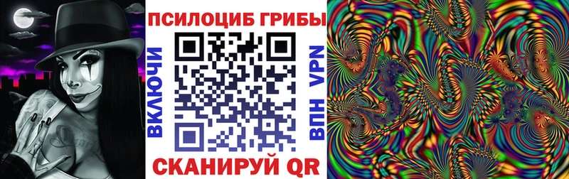 дарнет шоп  Новокузнецк  Галлюциногенные грибы Psilocybe 