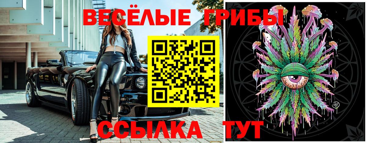 Псилоцибиновые грибы мухоморы  Псилоцибиновые грибы Psilocybe  Новокузнецк 