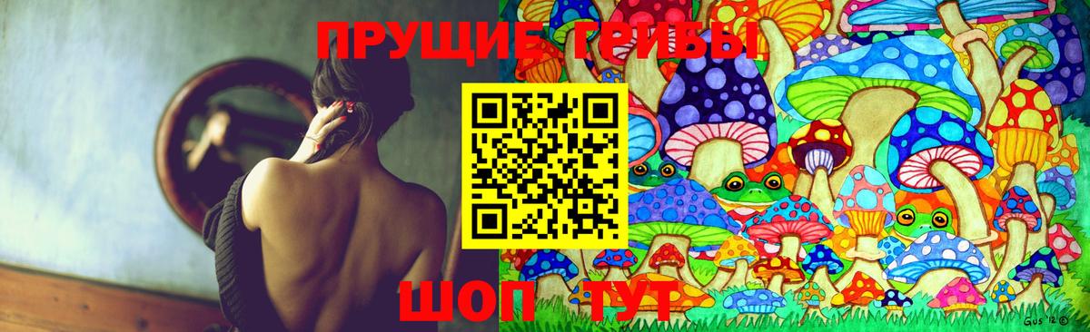 Галлюциногенные грибы мицелий Новокузнецк