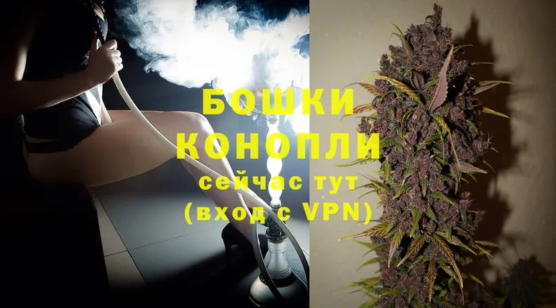 Канабис White Widow  как найти   Новокузнецк 