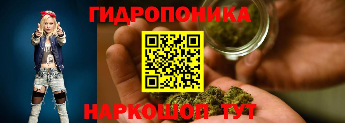 Шишки марихуана индика  Канабис план  Новокузнецк  МАРИХУАНА Ganja  Вход с VPN  Бошки марихуана семена 